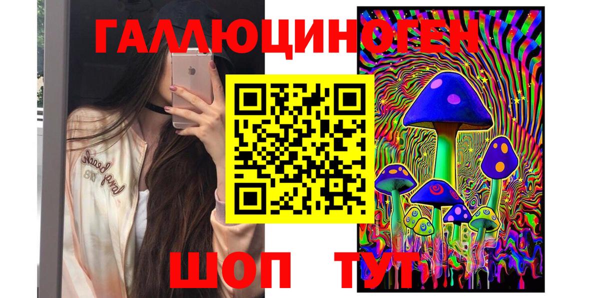 Галлюциногенные грибы Cubensis  Псилоцибиновые грибы мицелий  Вход с VPN  Сланцы 